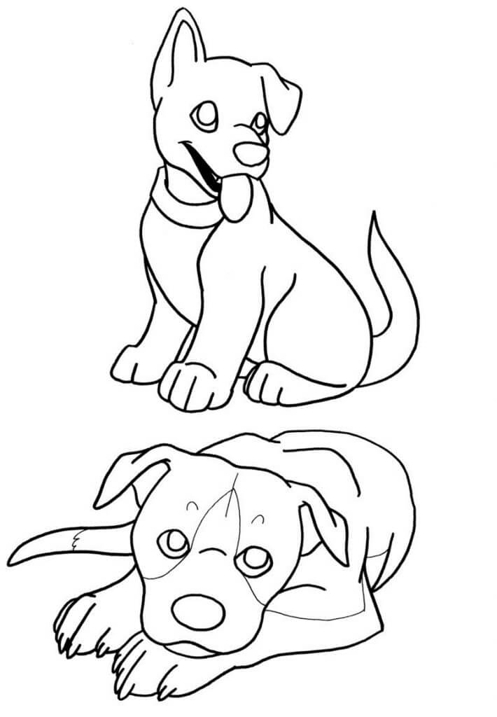 Dos Cachorros