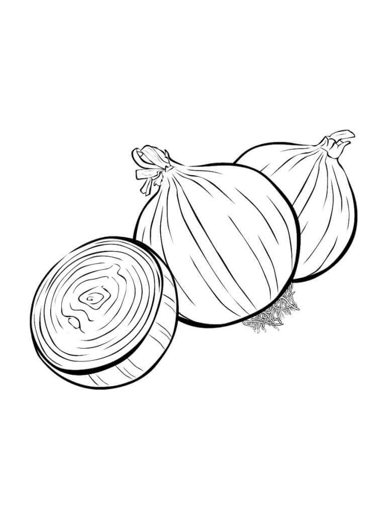 Dos Cebollas y media Cebolla