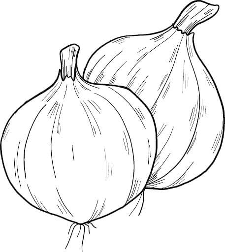 Dos Cebollas