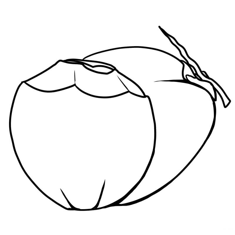 Fruta de Coco