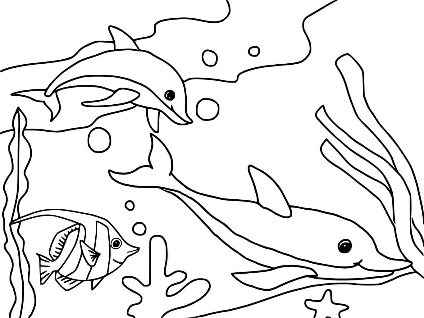 Dos Delfines y Peces