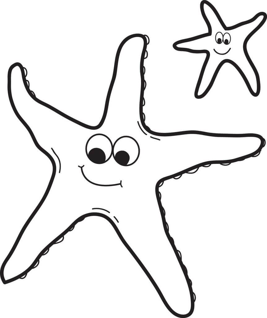 Dos Estrellas de mar Sonriendo