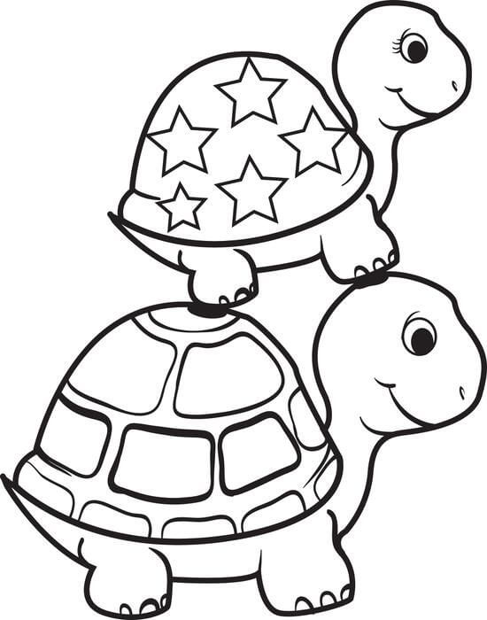 Dos Hermanos Tortuga