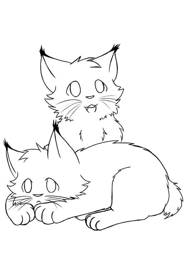 Dos Lince Bebé