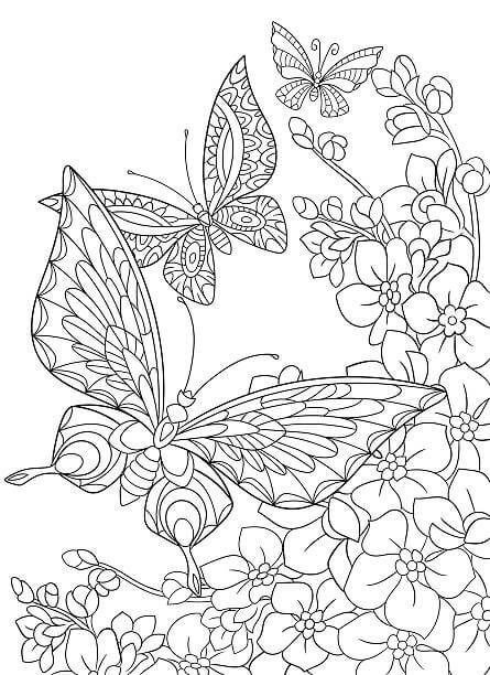 Dos Mariposas para Adultos