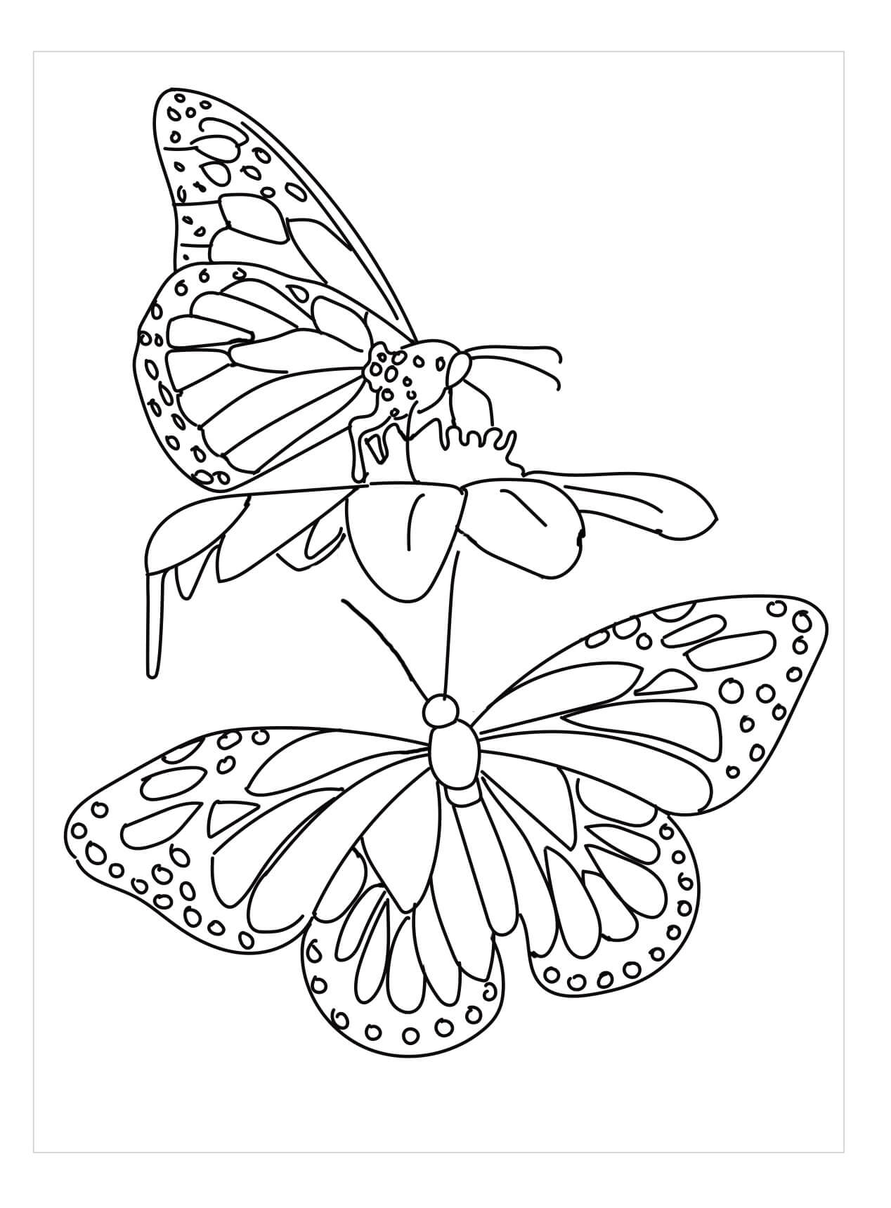 Dos Mariposas