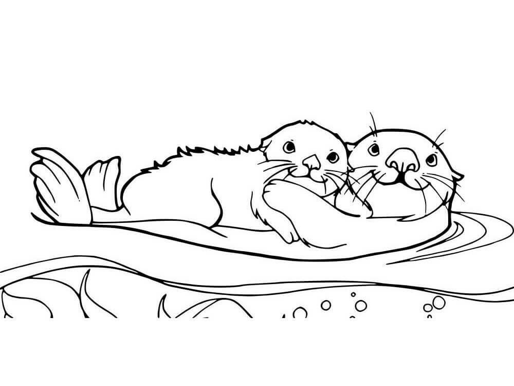 Dos Nutria Abrazar