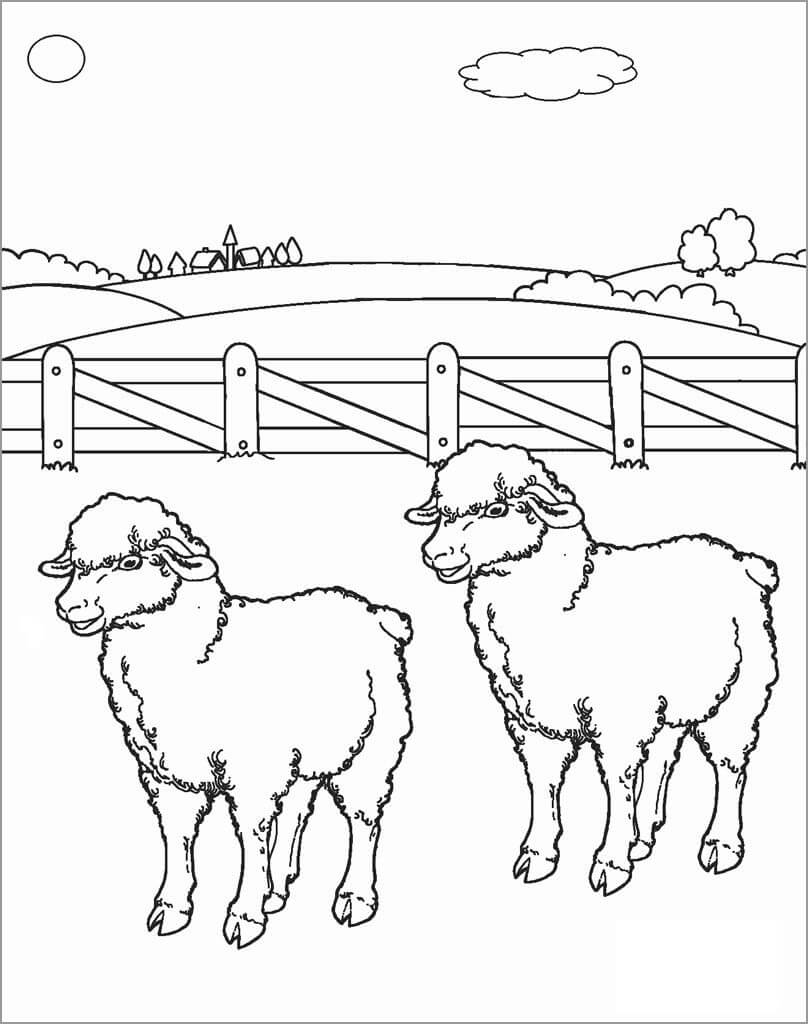 Dos Ovejas en Granja