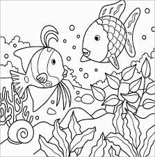 Animales Marinos