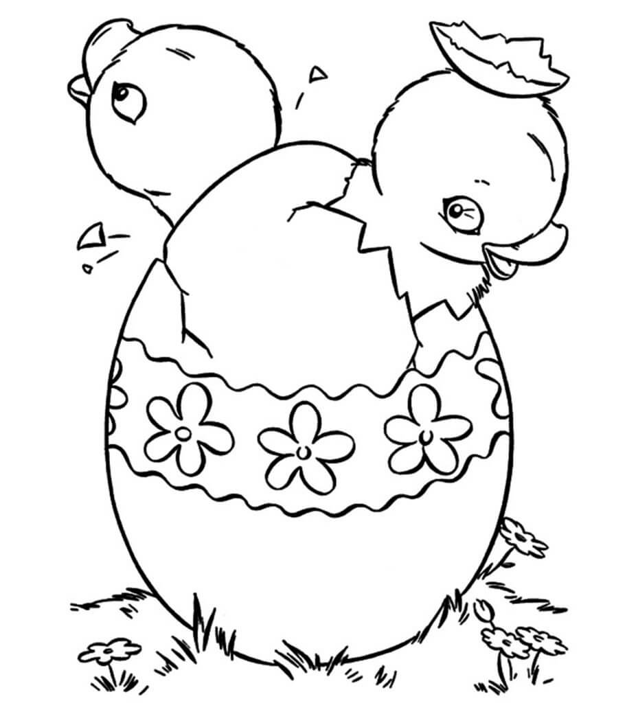 Dos Pollitos en huevo de Pascua Roto