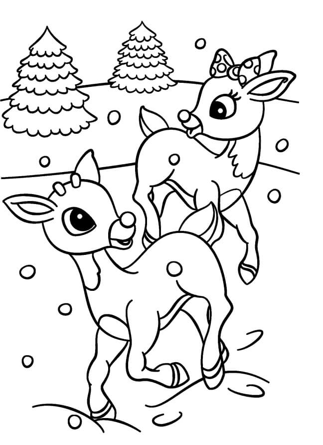 Dos Rudolph