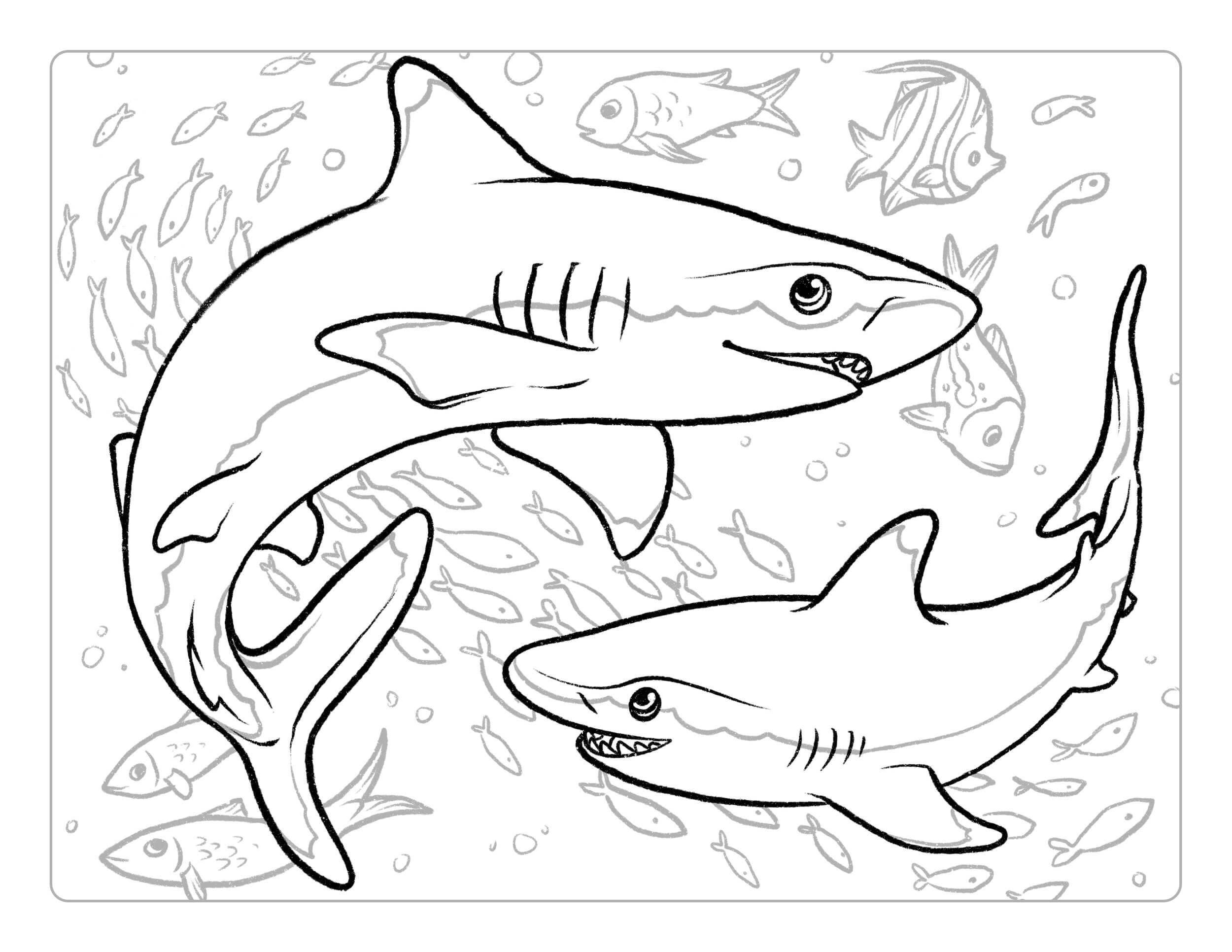 Dos Tiburones