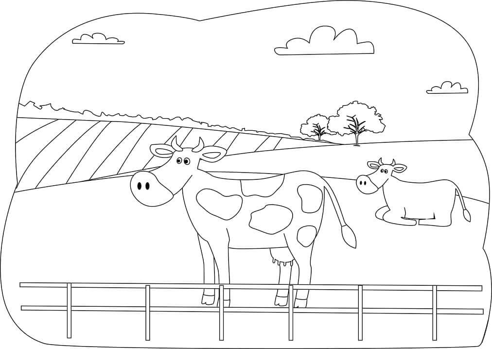 Dos Vacas