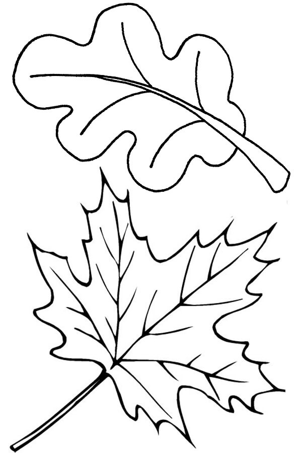 Dos hojas de Otoño