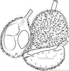 Durian Color por Número