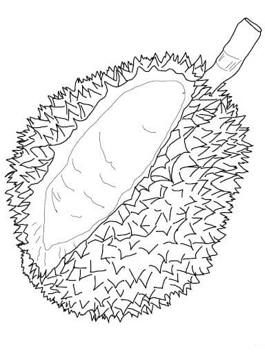 Durian Impresionante