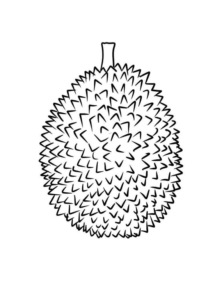 Durian Simple