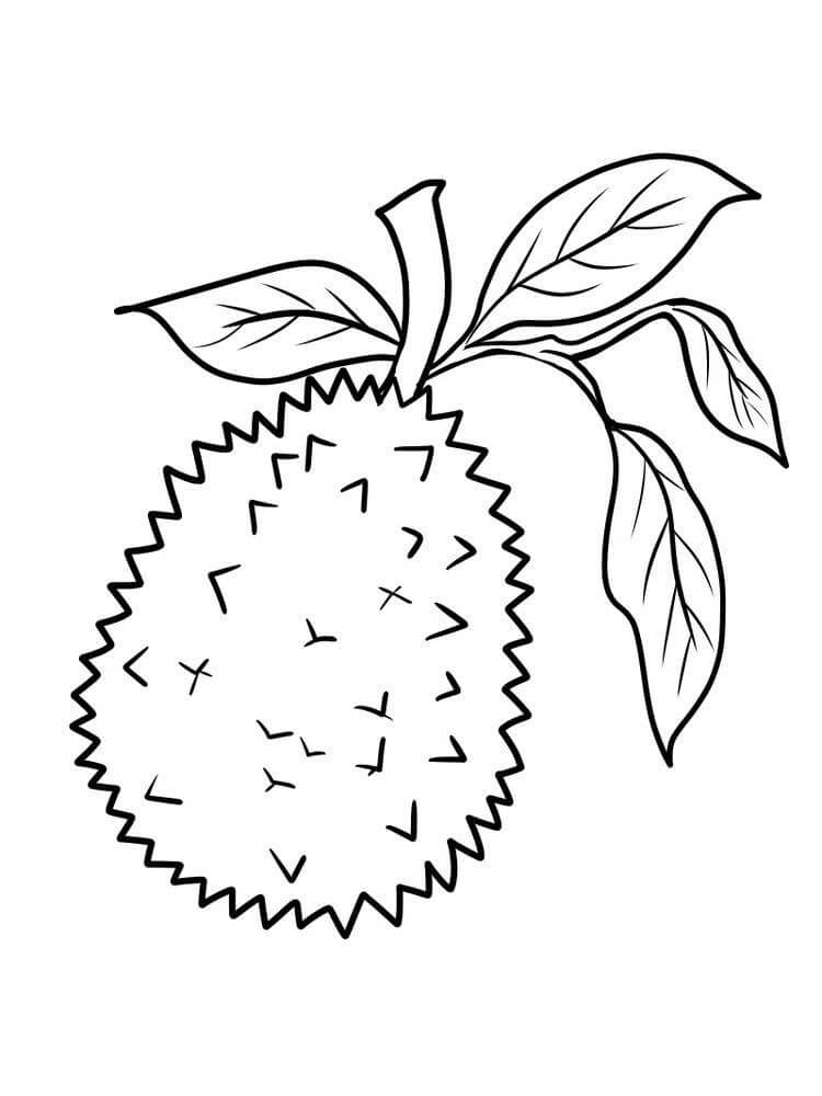 Durian con Hoja
