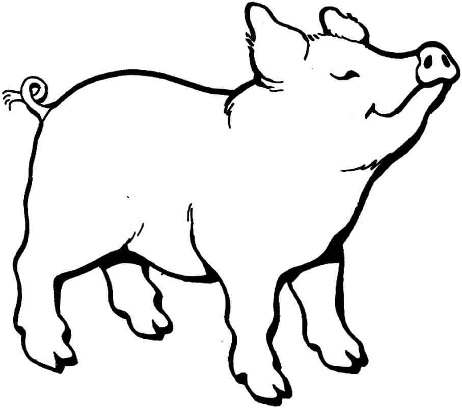 El Cerdo Huele Algo