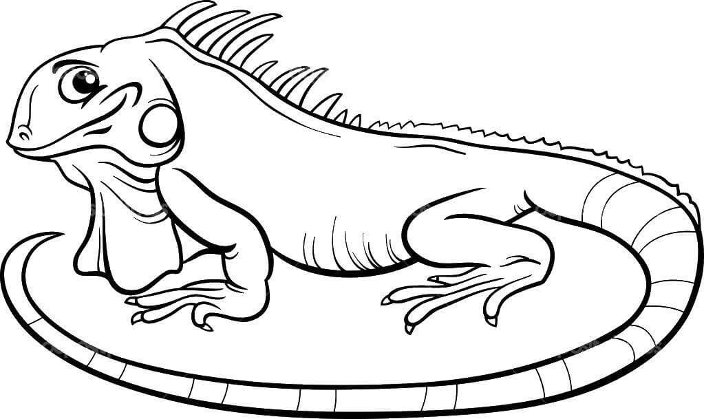 El dragón Sudamericano se Ríe