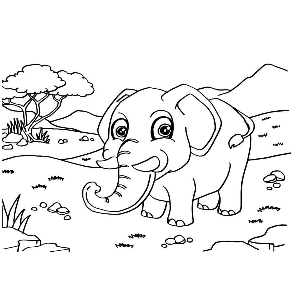 Elefante Caminando En La Sabana