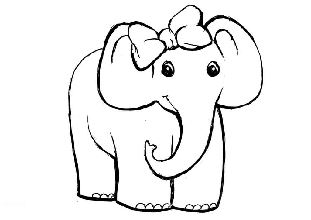 Elefante Hembra