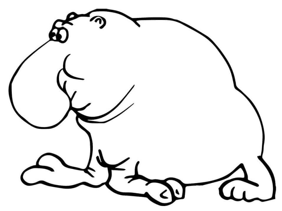 Elefante Marino Gracioso
