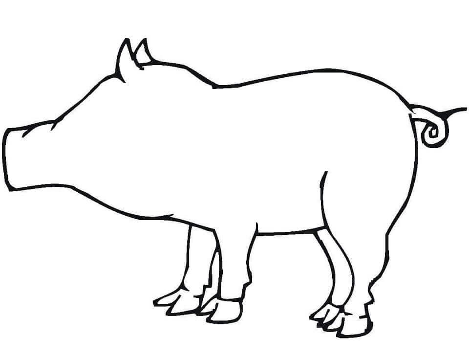 Esquema de Cerdo