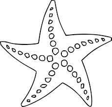 Estrella De Mar