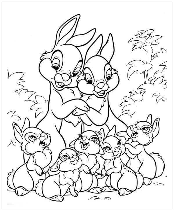 Familia de Conejito