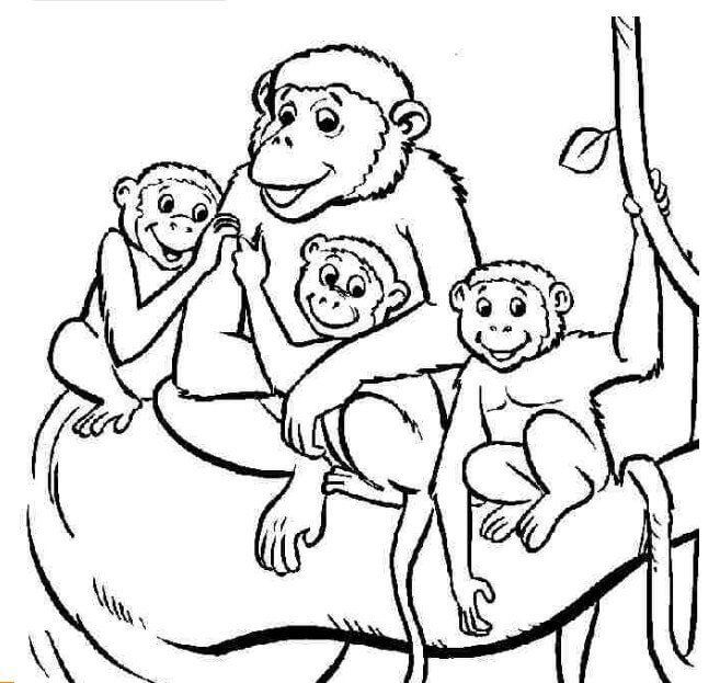 Familia de Simios