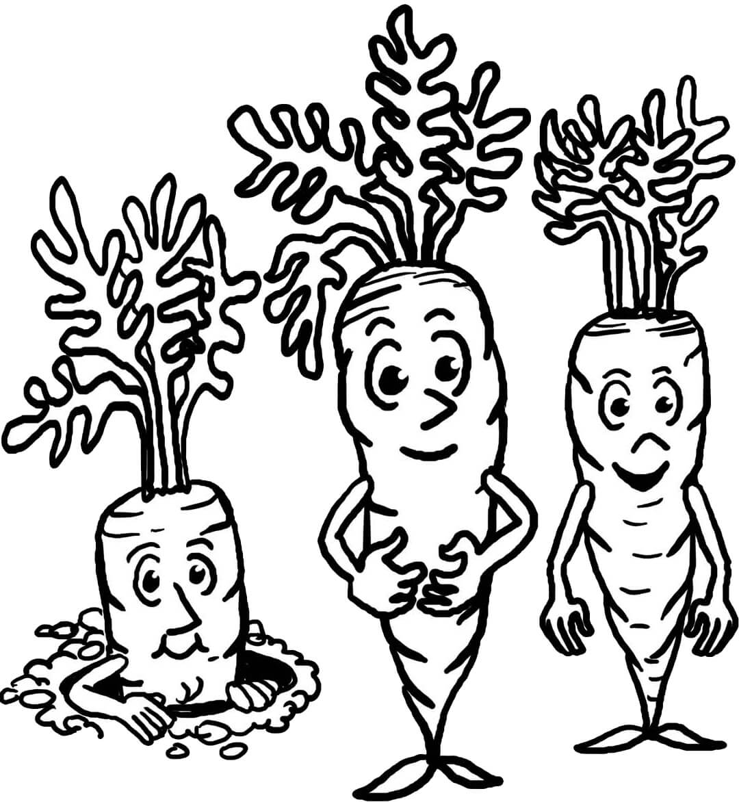 Familia de Zanahorias