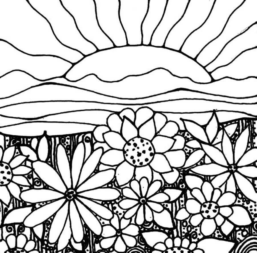 Flores Y Puesta De Sol