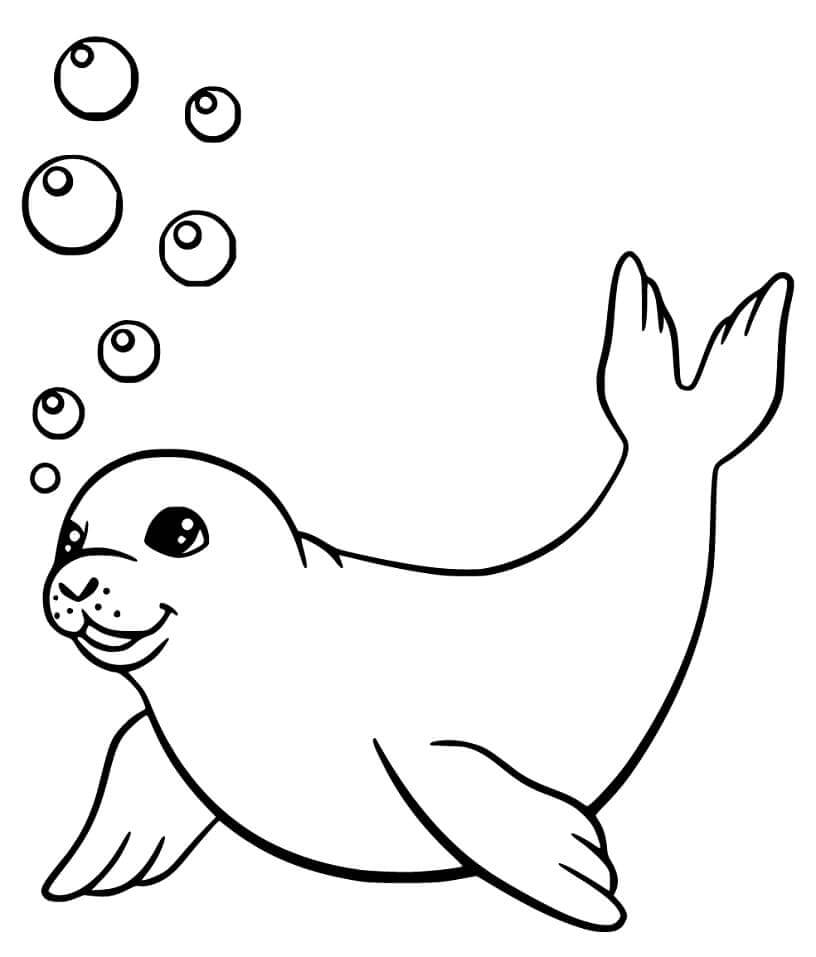 Foca Nadando