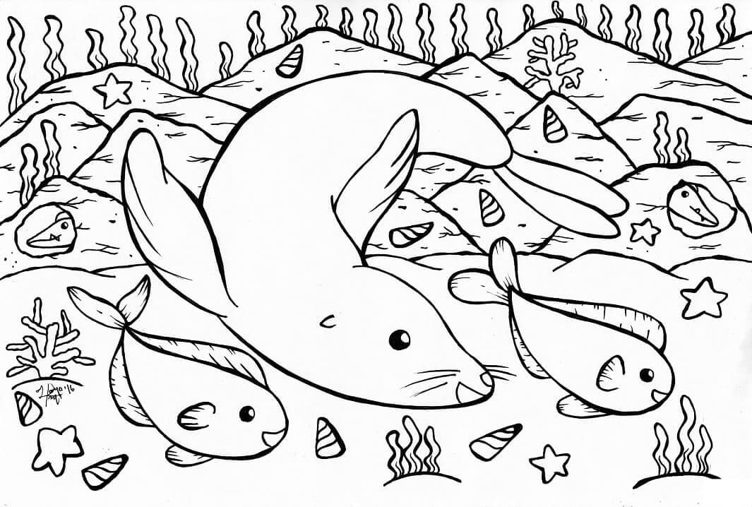 Focas y Peces