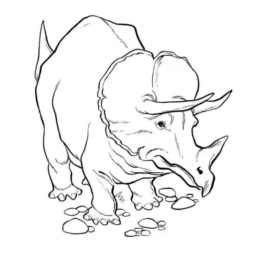 Fotos Gratis de Triceratops