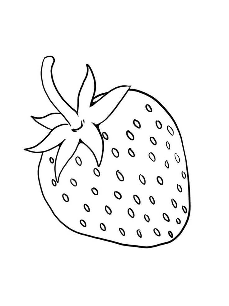 Fresa Imprimible