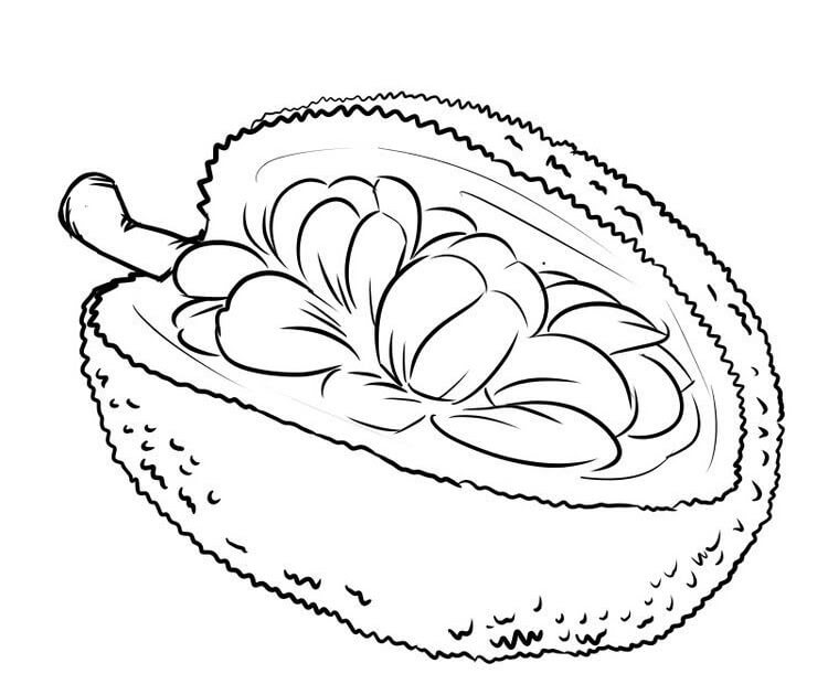 Fruta Durian