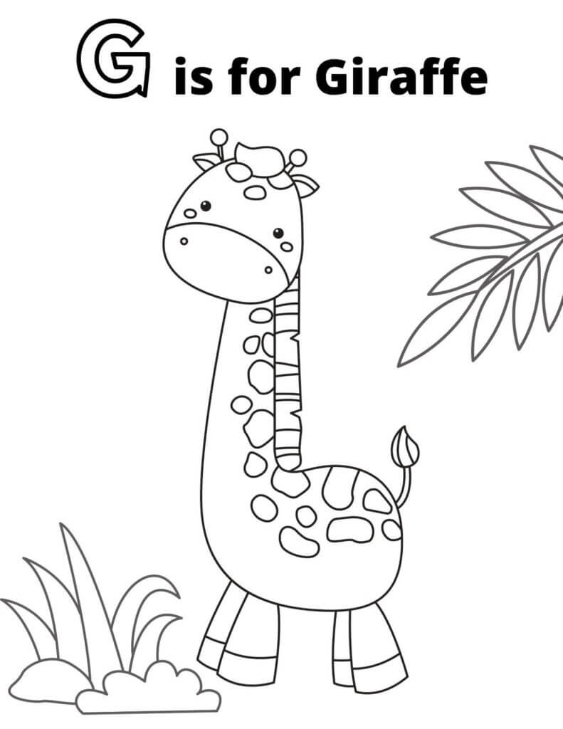 G is for Giraffe