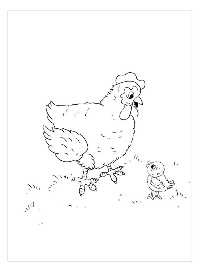 Gallo