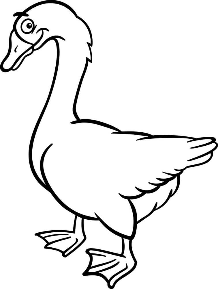 Ganso de Granja