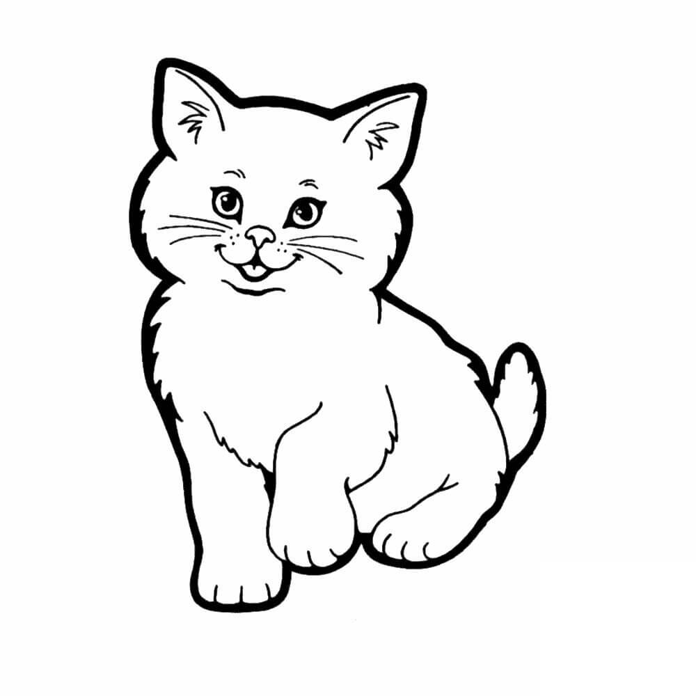 Gatito Básico