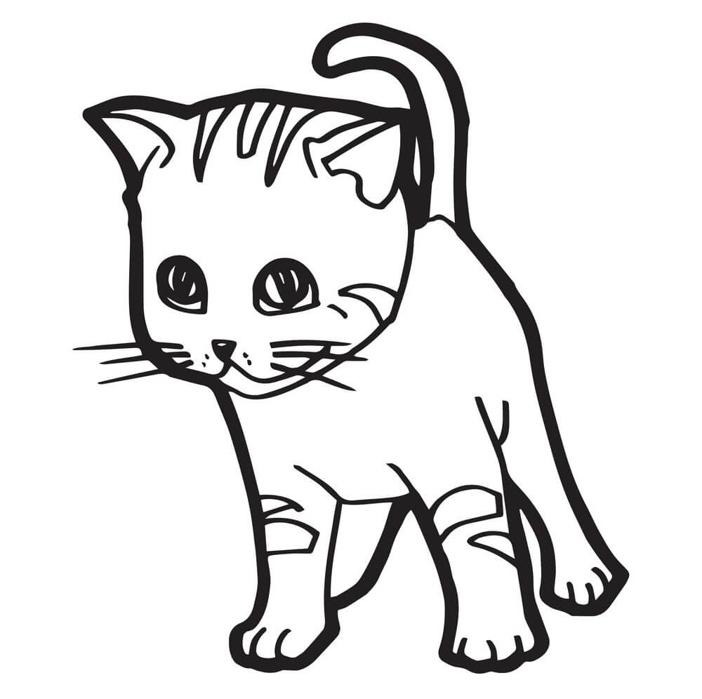 Gatito Dibujo