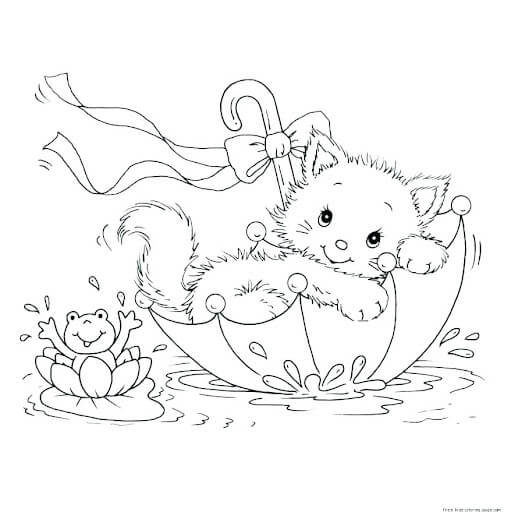 Gatito Realista