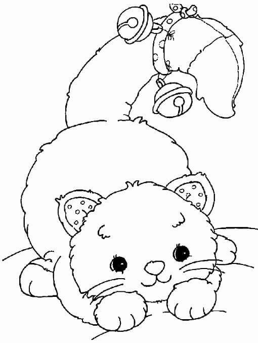 Gatito con Campana