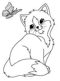 Gatito y Mariposa