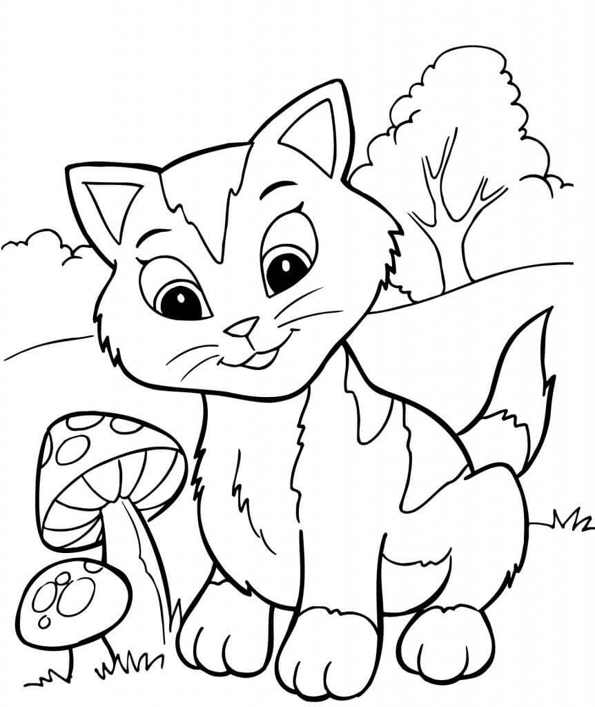 Gatitos y Setas