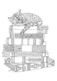 Gato Durmiendo en Libro Adulto