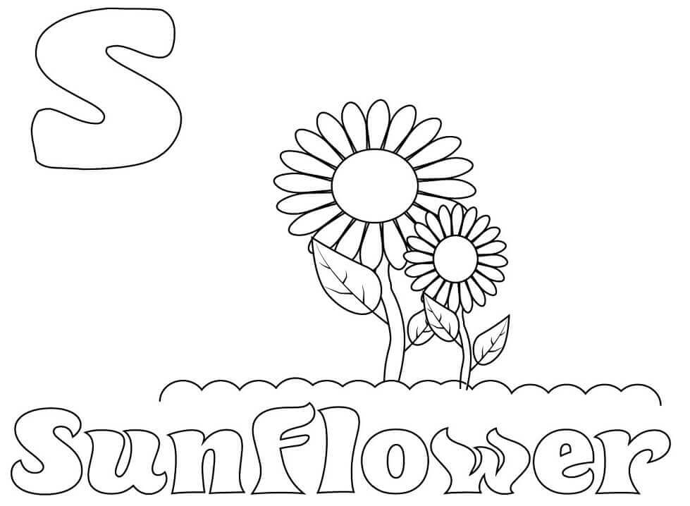 Girasol Letra S