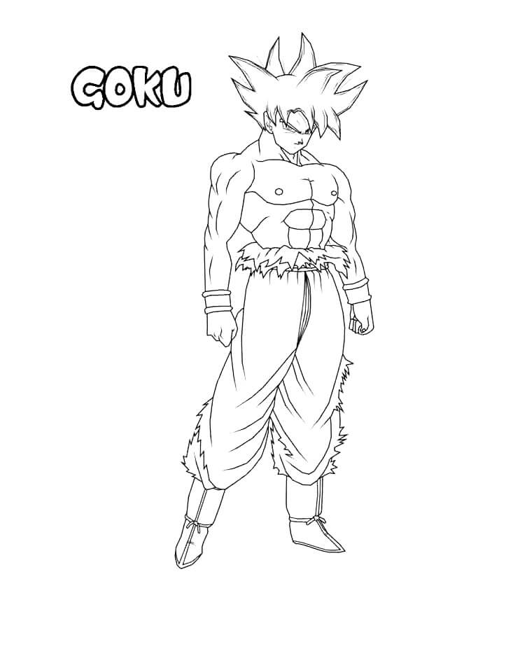 Gokú Ultra Instinto